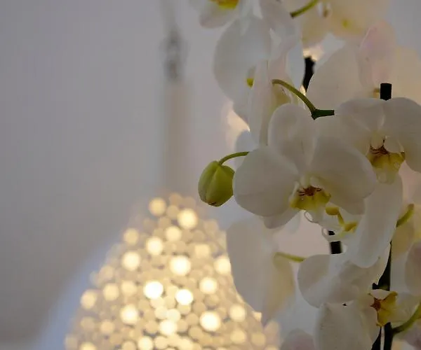 Margie Mykonos Hotel Mykonos Town