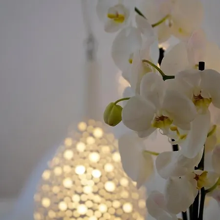 Margie Mykonos ホテル Mykonos Town