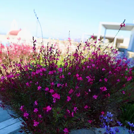 Margie Mykonos ホテル