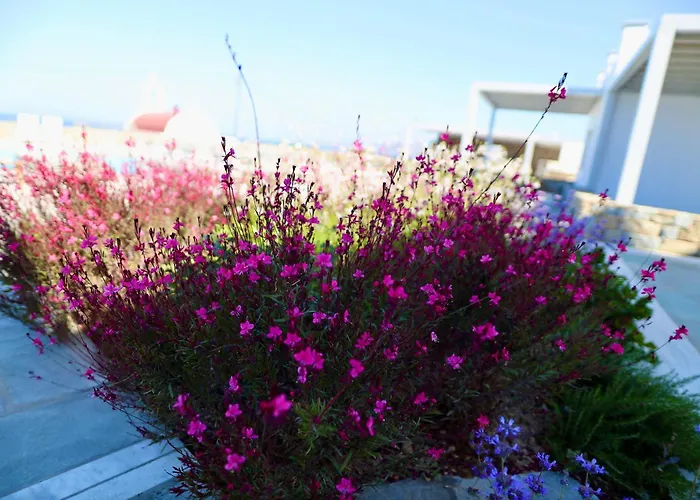 Margie Mykonos Hotel